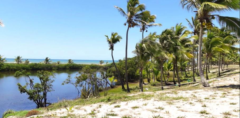 Terreno, 448 m² - Foto 3