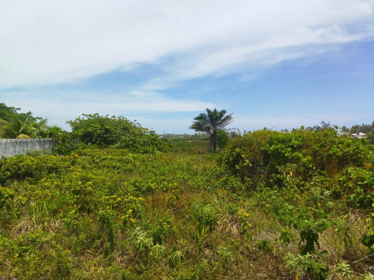 Terreno, 695 m² - Foto 2