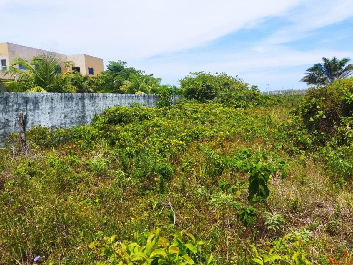 Terreno, 695 m² - Foto 6