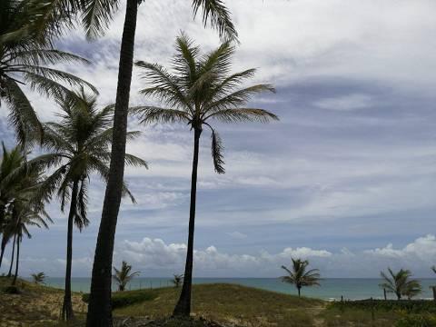 Terreno, 695 m² - Foto 37