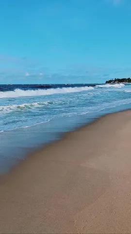 Terreno, 695 m² - Foto 48