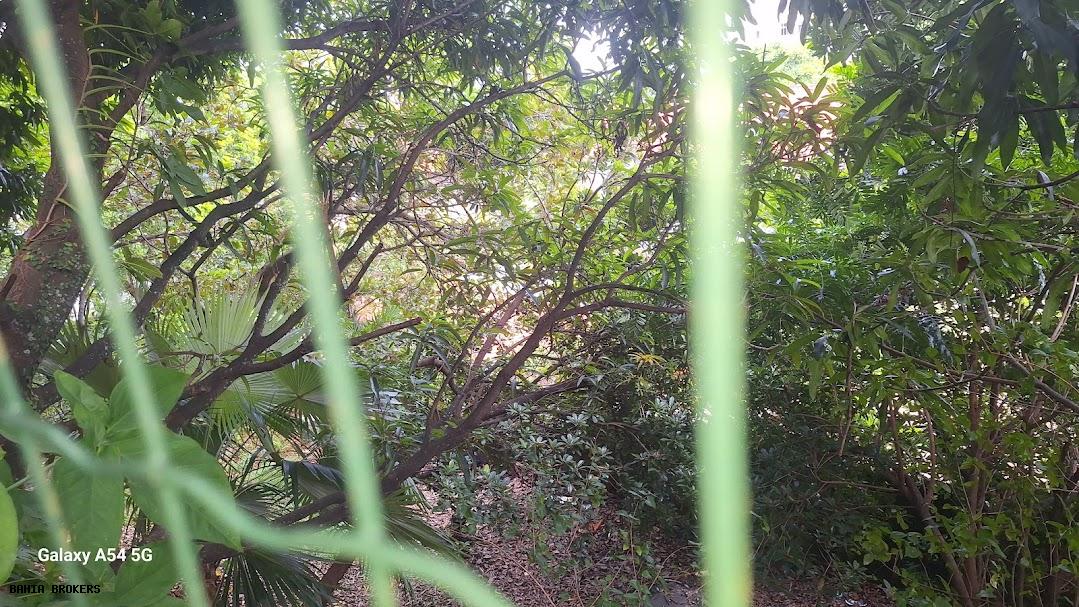 Casa de Condomínio, 6 quartos - Foto 58