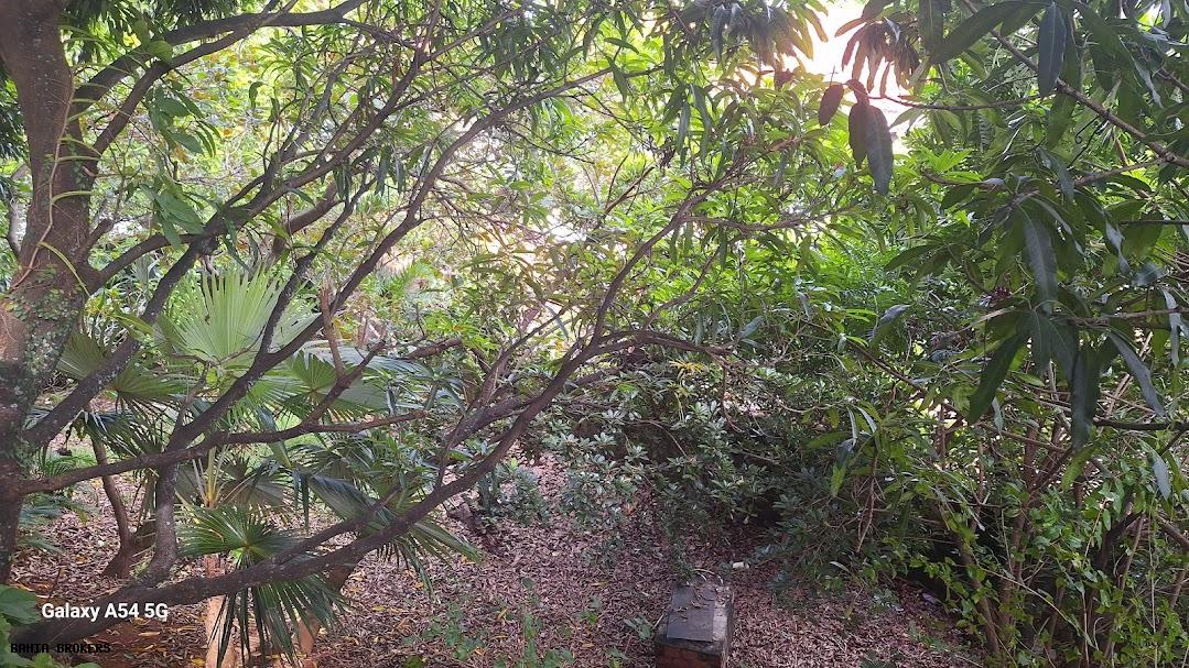 Casa de Condomínio, 6 quartos - Foto 59