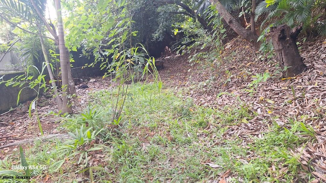 Casa de Condomínio, 6 quartos - Foto 62