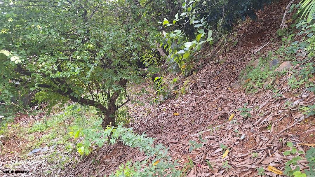 Casa de Condomínio, 6 quartos - Foto 61