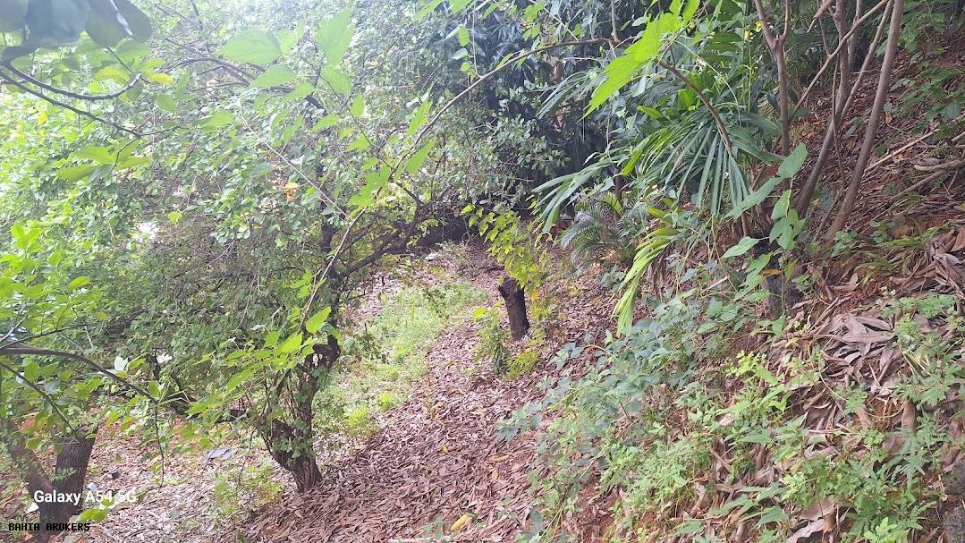 Casa de Condomínio, 6 quartos - Foto 60