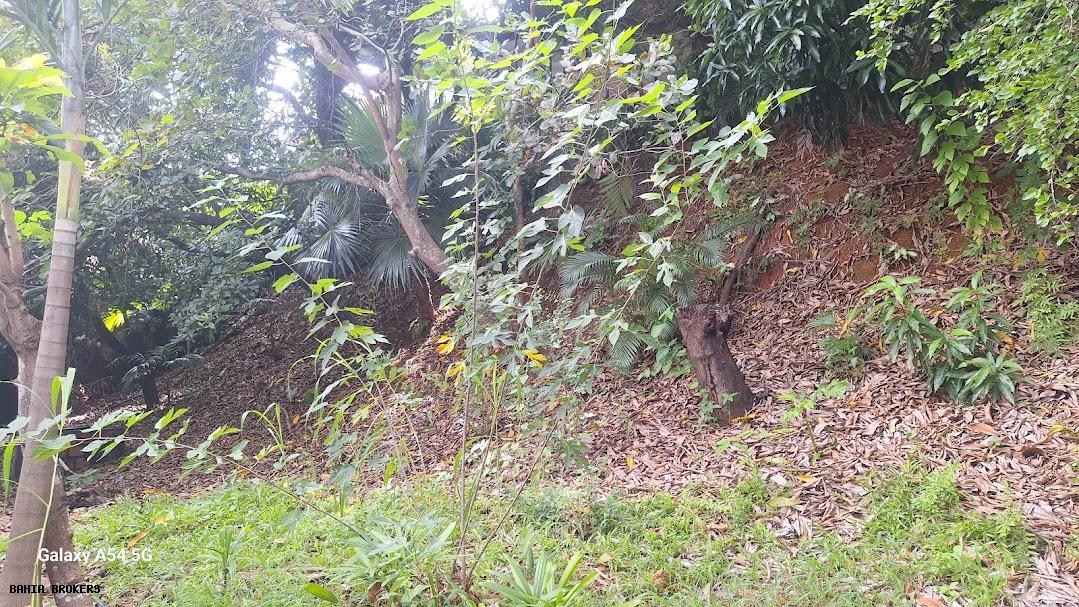 Casa de Condomínio, 6 quartos - Foto 64