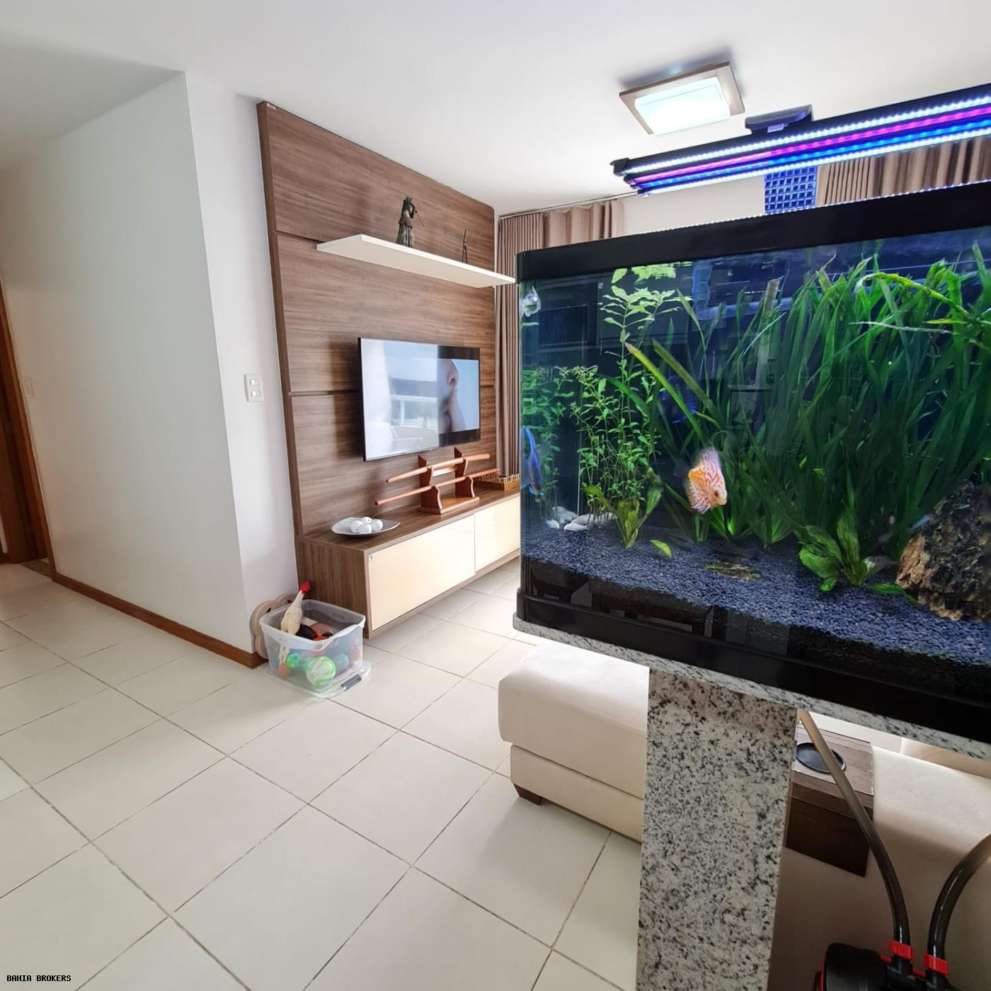 Apartamento, 2 quartos, 71 m² - Foto 2