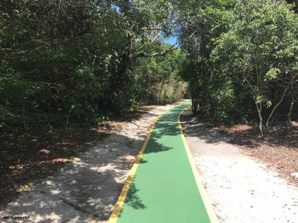 Casa, 4 quartos, 300 m² - Foto 35