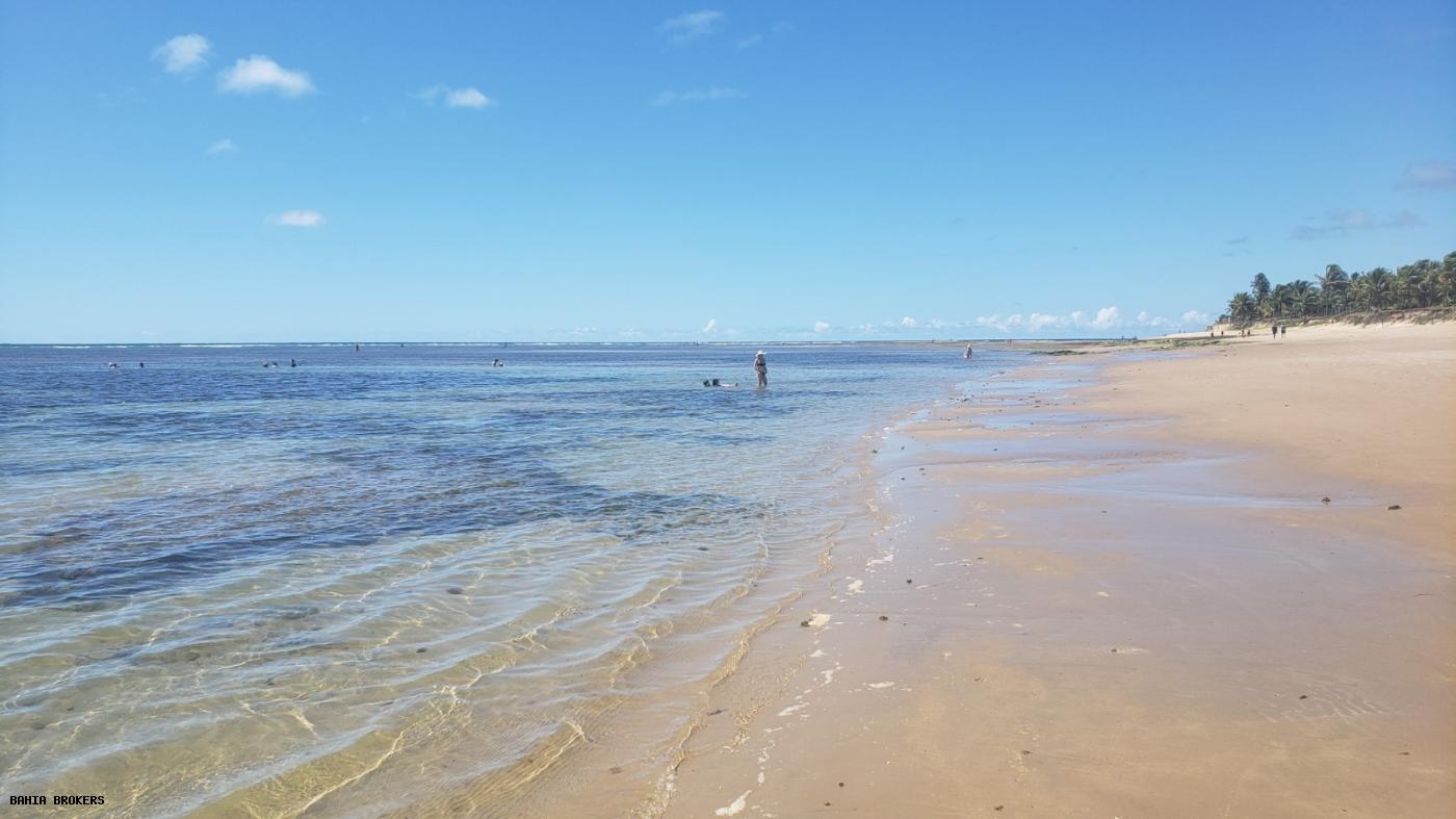 Casa, 4 quartos, 300 m² - Foto 39