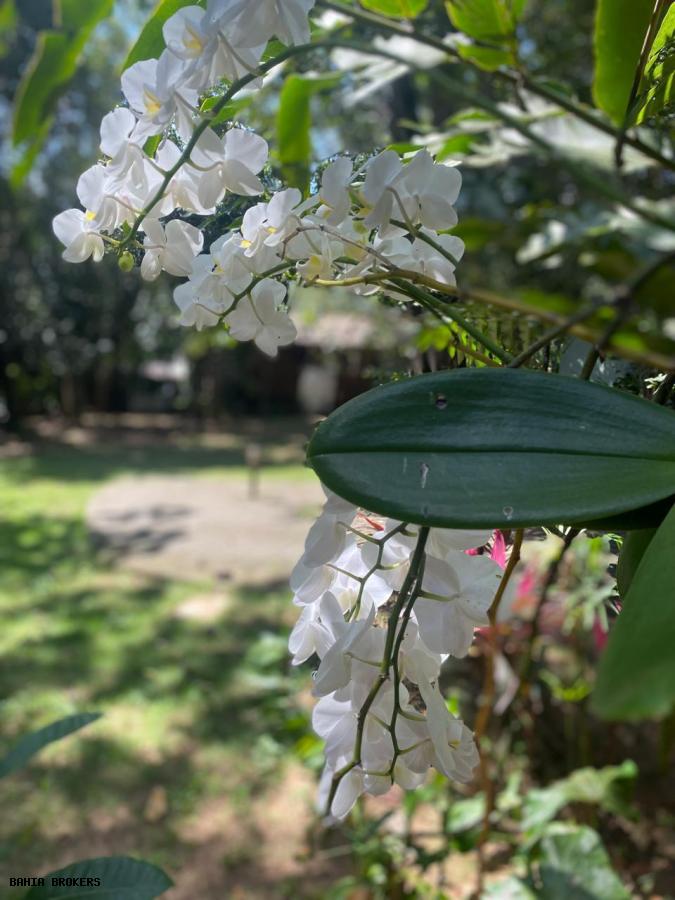 Casa de Condomínio, 2 quartos - Foto 34