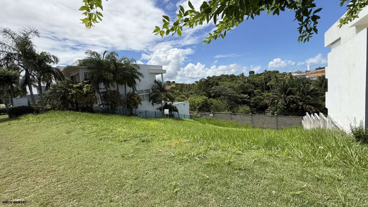 Terreno, 392 m² - Foto 2