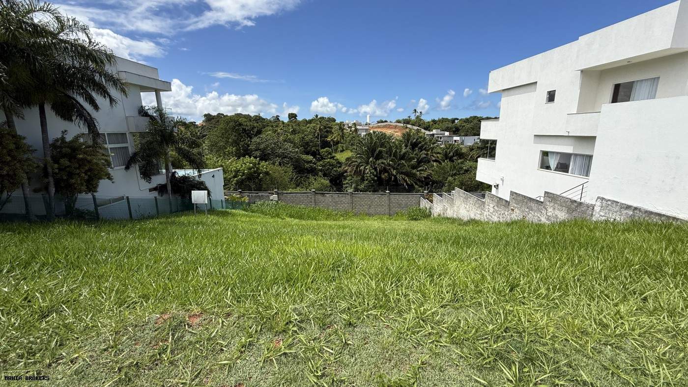 Terreno, 392 m² - Foto 3