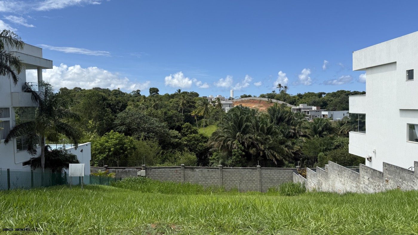 Terreno, 392 m² - Foto 7