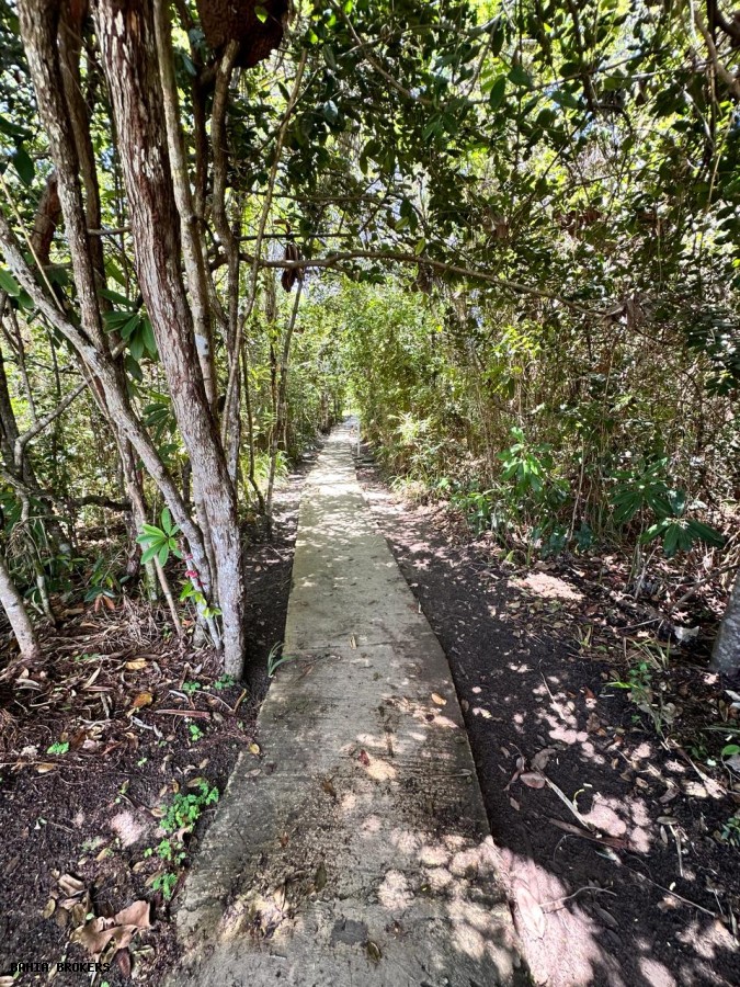 Terreno, 800 m² - Foto 3