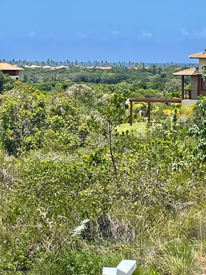 Terreno, 800 m² - Foto 5