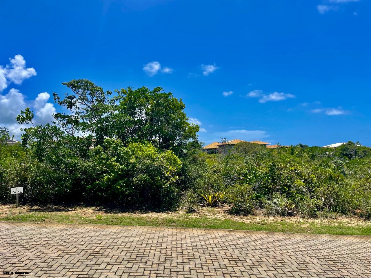 Terreno, 800 m² - Foto 7