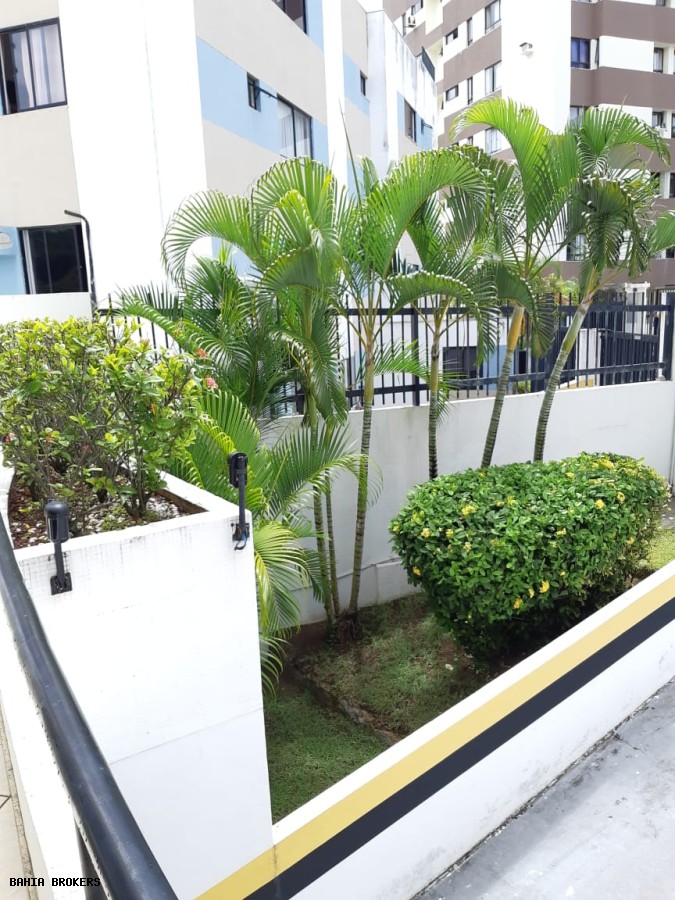 Apartamento, 2 quartos - Foto 28