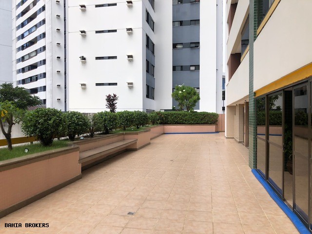 Apartamento, 4 quartos - Foto 32