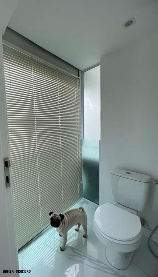 Apartamento, 1 quarto, 59 m² - Foto 42