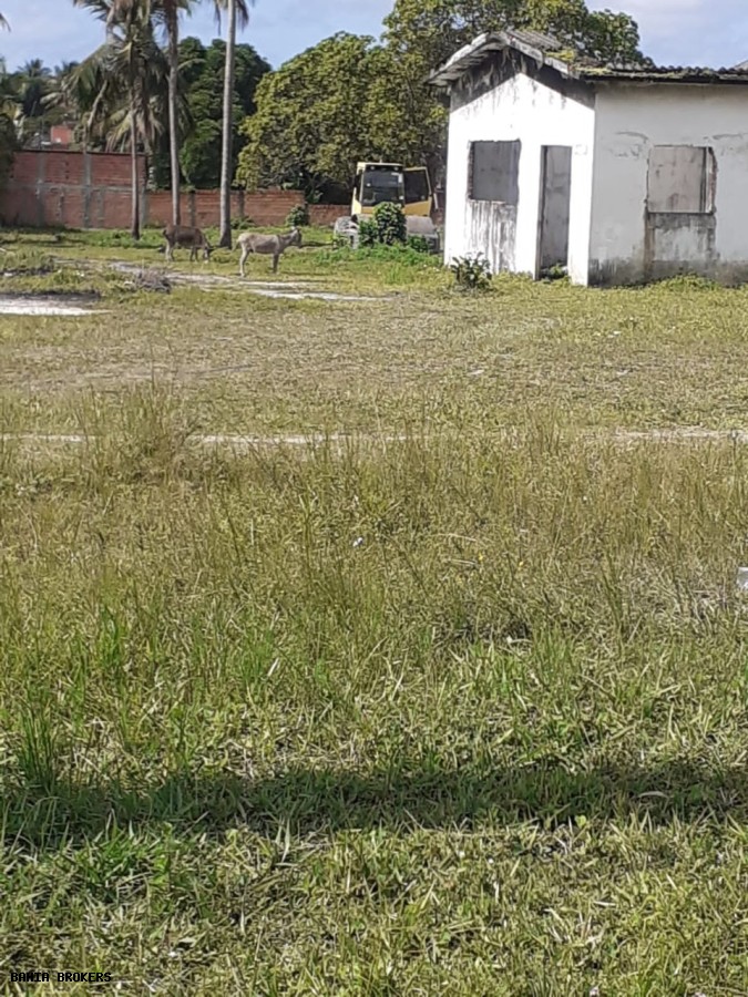 Terreno, 2 hectares - Foto 6